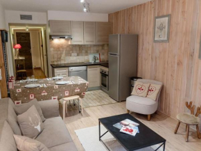 Appartement au pied des pistes, balcon, animaux acceptés - FR-1-516-20